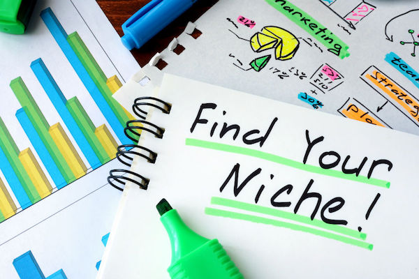 Tips on How to Find Your Niche in Blogging for Beginners
