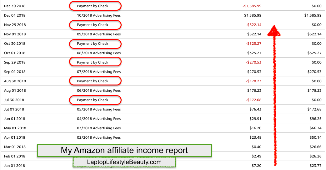 My Amazon affiliate income report (the screenshot of earnings made with my Amazon niche site)